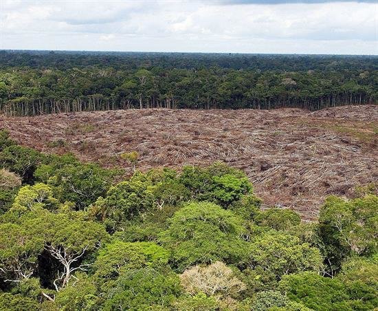 WWF advierte sobre las amenazas a las unidades de conservación en Brasil
