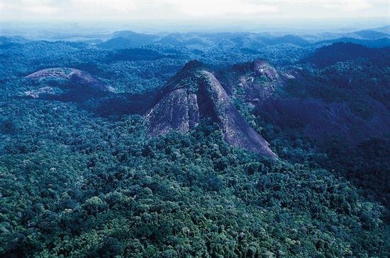 El Gobierno brasileño cede a la presión y paraliza el decreto sobre la Amazonia