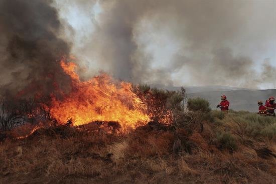 Fuegos han arrasado 213.986 hectáreas en Portugal, el peor dato en una década