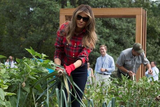 Melania Trump continúa la tradicional siembra en el huerto de la Casa Blanca