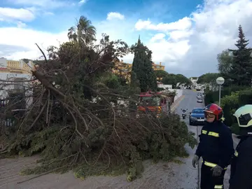 Bomberos de Mijas