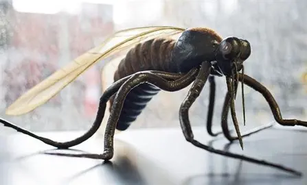 El Zika podr&iacute;a causar abortos o tejido cerebral blando en beb&eacute;s, seg&uacute;n un estudio