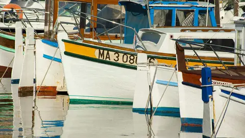 pesca
