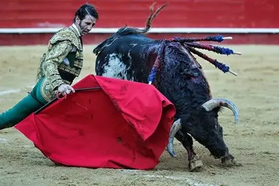 El diestro Juan Jos&eacute; Padilla sigue hospitalizado y evoluciona favorablemente
