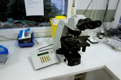 Logran crear virus que atacan de forma selectiva a las c&eacute;lulas tumorales