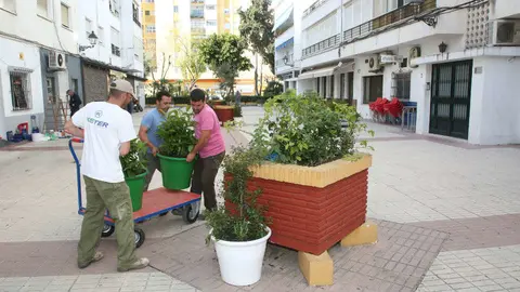 plantas San Pedro
