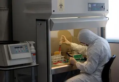 La mayor&iacute;a de mutaciones que causan c&aacute;ncer se deben al azar, dice un estudio