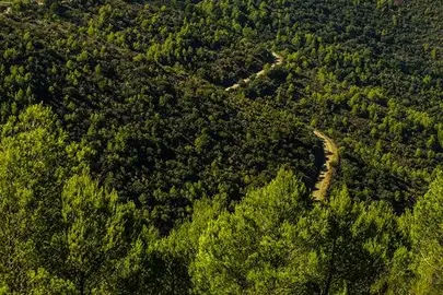 El turismo rural alcanza un 70 % de ocupaci&oacute;n en Semana Santa en Andaluc&iacute;a
