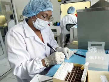 Vacuna contra el zika desarrollada por EE.UU. y Brasil fue exitosa en ratones