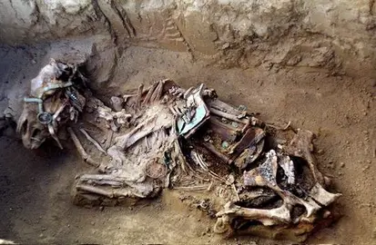 Revelan que fue posible domesticar caballos sin empobrecer su diversidad