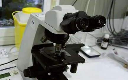 Desarrollan una herramienta para regular el "cerebro" del sistema inmune