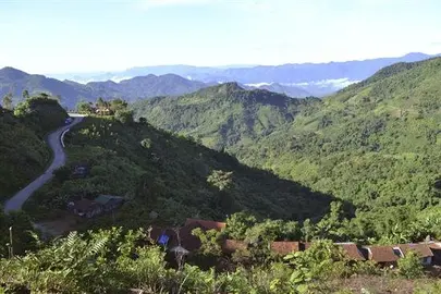 La sorprendente recuperaci&oacute;n de los bosques vietnamitas