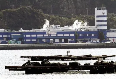 Pescanova se desploma m&aacute;s de un 90 % en su regreso a la bolsa tras 4 a&ntilde;os