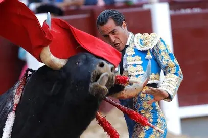 Un toro mata a Iv&aacute;n Fandi&ntilde;o en la ciudad francesa de Aire Sur L'Adour