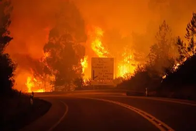 Al menos 19 muertos en un incendio declarado en el centro de Portugal