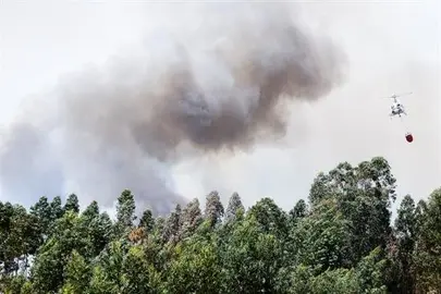 La lucha contra el incendio de Portugal se reparte en G&oacute;is y Pedr&oacute;g&atilde;o Grande