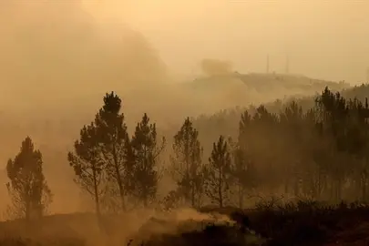 Los bomberos controlan las llamas en G&oacute;is, &uacute;ltimo foco del incendio de Portugal