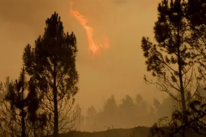 Concluye la identificaci&oacute;n de los 64 fallecidos en el incendio de Portugal