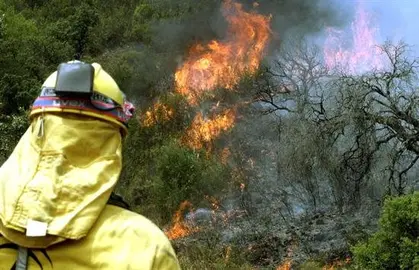 Desalojado el Parador de Mazag&oacute;n por el incendio declarado en Moguer (Huelva)