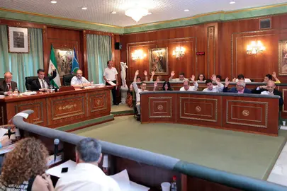 Pleno del Ayuntamiento 30 Junio