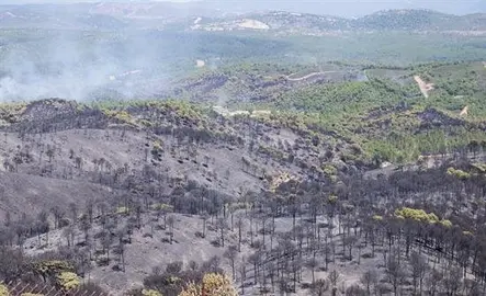 Un grupo de 40 bomberos contin&uacute;a las labores en Riotinto para controlar el incendio