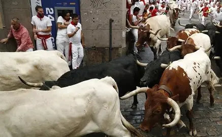 Al menos dos heridos en el encierro m&aacute;s r&aacute;pido de sanfermines