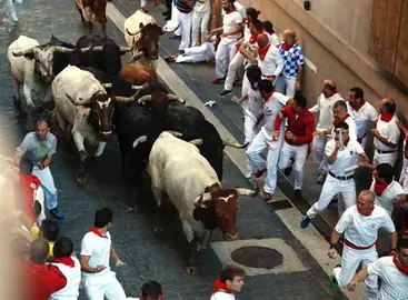 Los toros de Victoriano cumplen las espectativas en encierro r&aacute;pido y limpio
