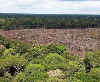 WWF advierte sobre las amenazas a las unidades de conservaci&oacute;n en Brasil