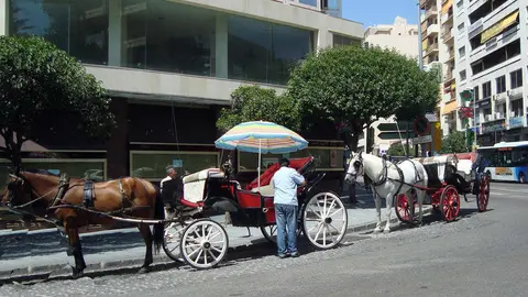 Coches de caballos Marbella