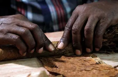 Cubano-espa&ntilde;ola Habanos firma acuerdo con monopolio estatal chino del tabaco