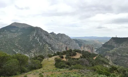 sierra