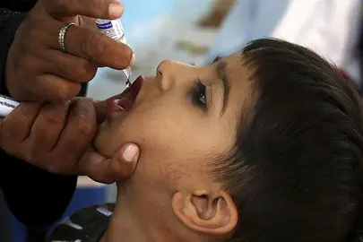 Emplean plantas para producir una nueva vacuna contra el virus de la polio