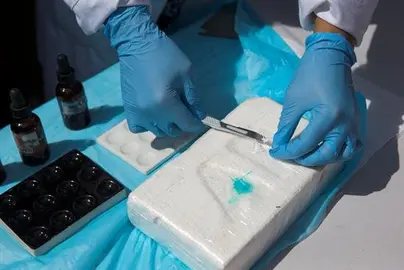 Condenan a un mexicano y un estadounidense en el mayor caso de droga de Nueva Zelanda