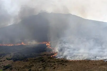 Avanza sin control el incendio intencionado de Le&oacute;n con 35 desalojados