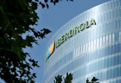 Iberdrola cifra en 480 millones el impacto de fusionar Elektro y Neoenerg&iacute;a