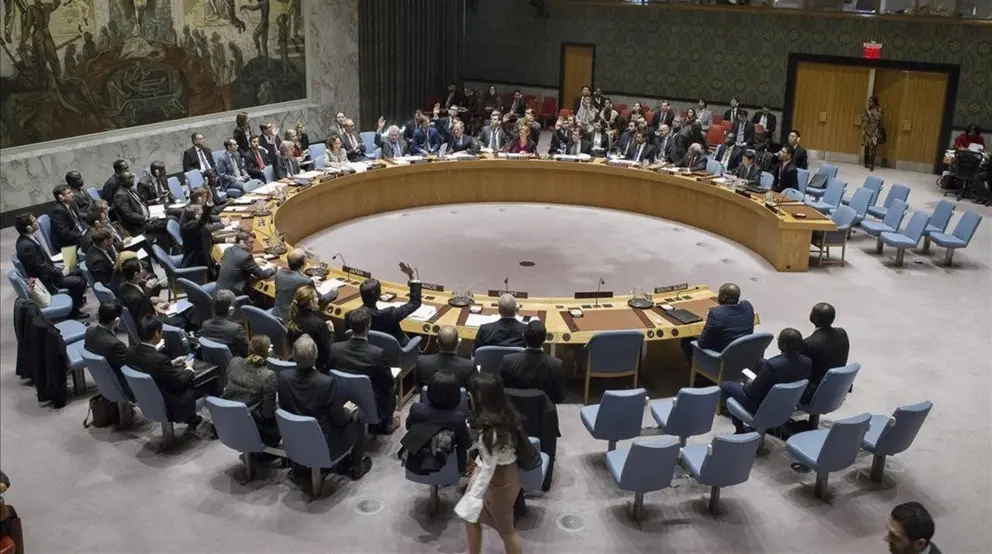 Consejo de Seguridad de la ONU
