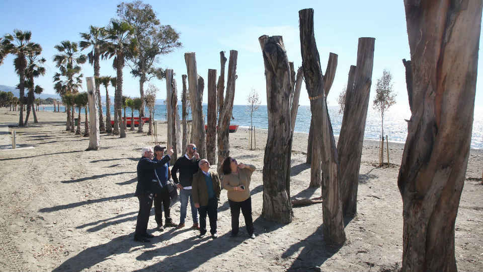 San Pedro Alcántara inicia la elaboración de las tallas en los tocones de los eucaliptos de la playa La Salida 