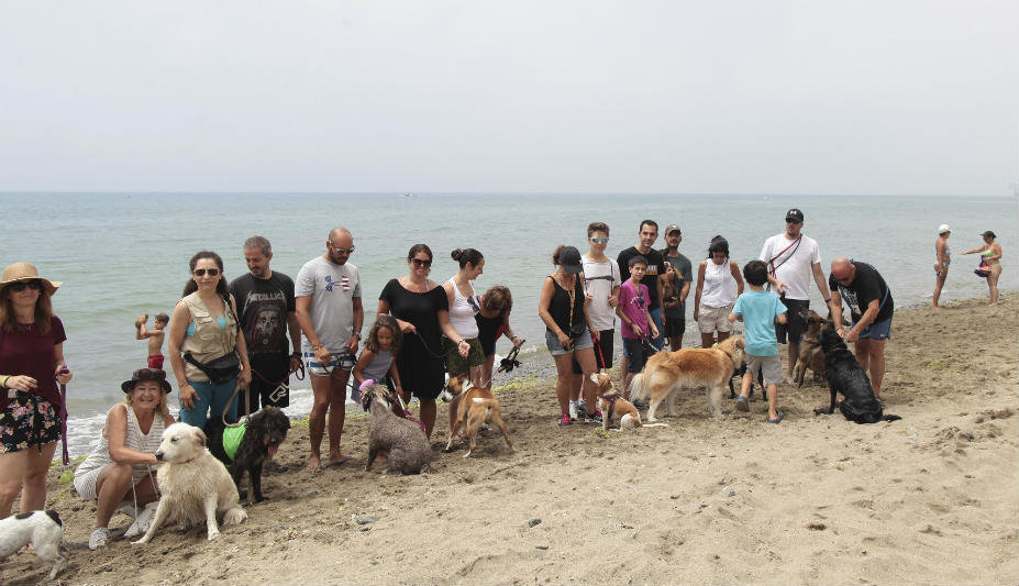 Playas caninas Marbella