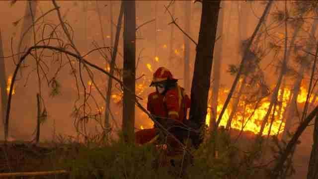 Más de 100 militares españoles ayudan en los incendios de Portugal