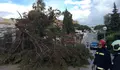 Bomberos de Mijas