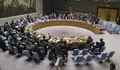 Consejo de Seguridad de la ONU
