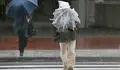 ALT-Trabajadores-con-paraguas-durante-el-paso-del-tifón-Phanfone-en-Japón-EFE-e1430921806808