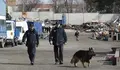 M&aacute;s de 50 detenidos y 40 registros en macro operaci&oacute;n contra robos en casas