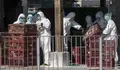 Nueva mutaci&oacute;n del virus de la gripe aviar H7N9 podr&iacute;a resistir antivirales