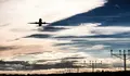 avion