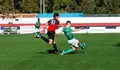 UD San Pedro - Huetor Vega de Granada