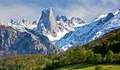 Picos de Europa