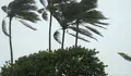 EE.UU. prev&eacute; entre cinco y nueve huracanes en el Atl&aacute;ntico, por encima del promedio