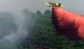 Decenas efectivos trabajan esta noche para controlar fuego Cala&ntilde;as (Huelva)