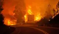 Al menos 19 muertos en un incendio declarado en el centro de Portugal